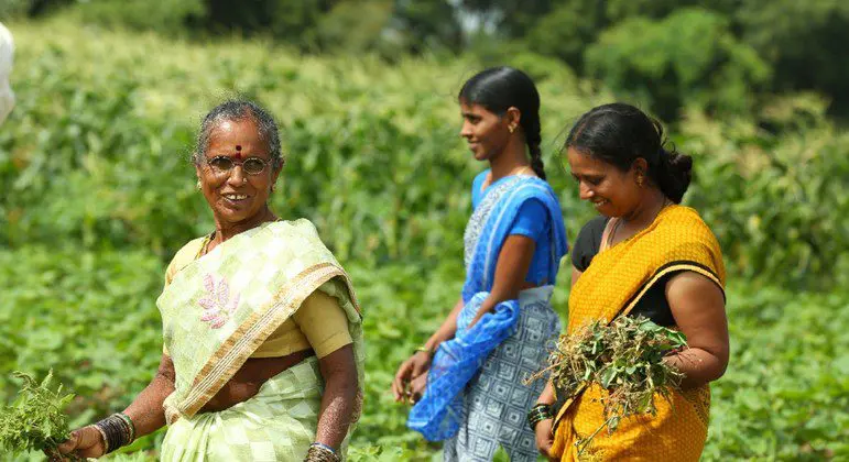 Asia-Pacific: ‘Call to action’ highlights role of family farmers amidst COVID-19 pandemic