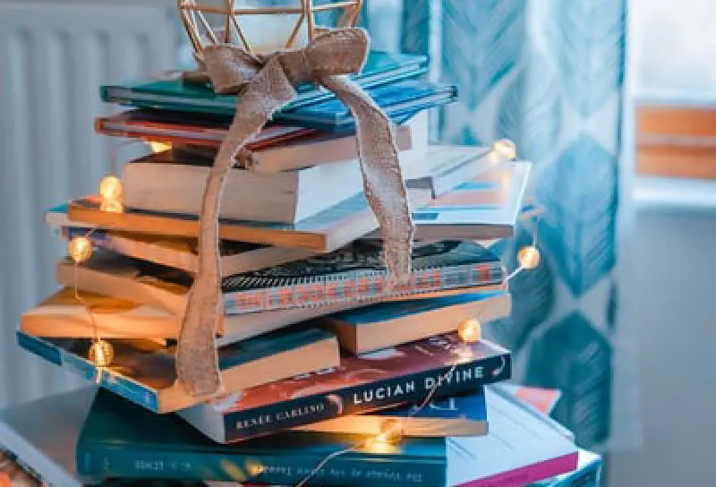 Looking for some last minute Christmas stocking stuffers? Check out these books