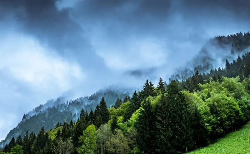 Carbon levy on EU imports needed to raise global climate ambition