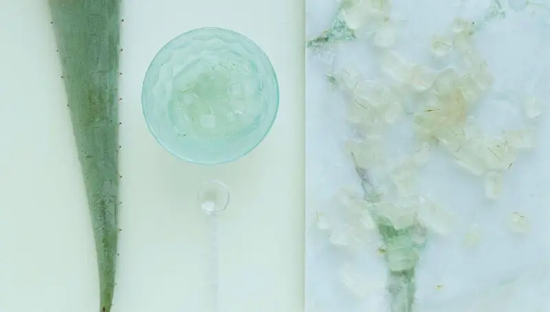 Aloe Vera Extracts Market Growth 2026