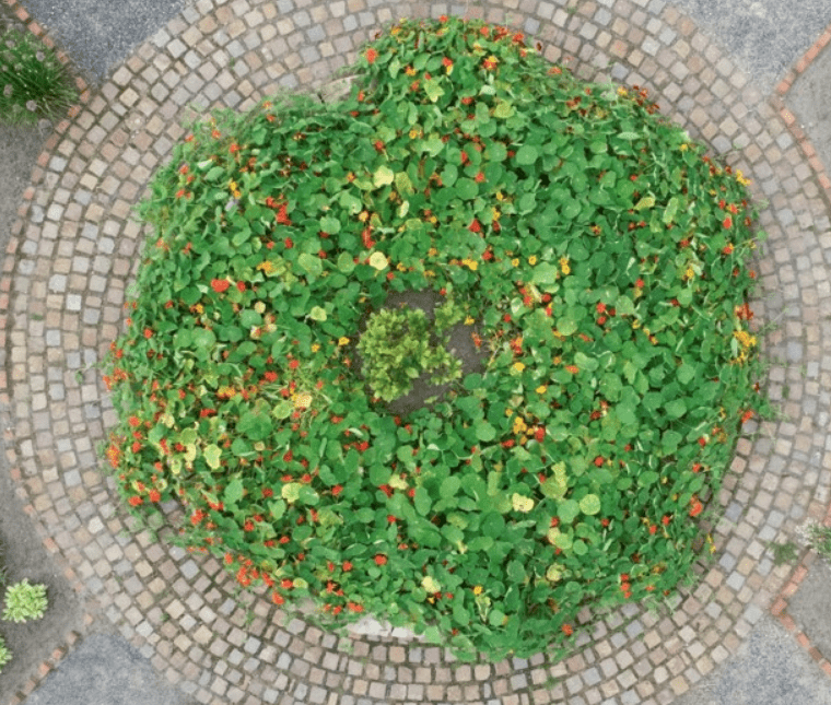 Laudato Si’ drives radical change and the path to a just future