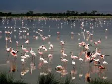 World Environment Day – what are your plans?