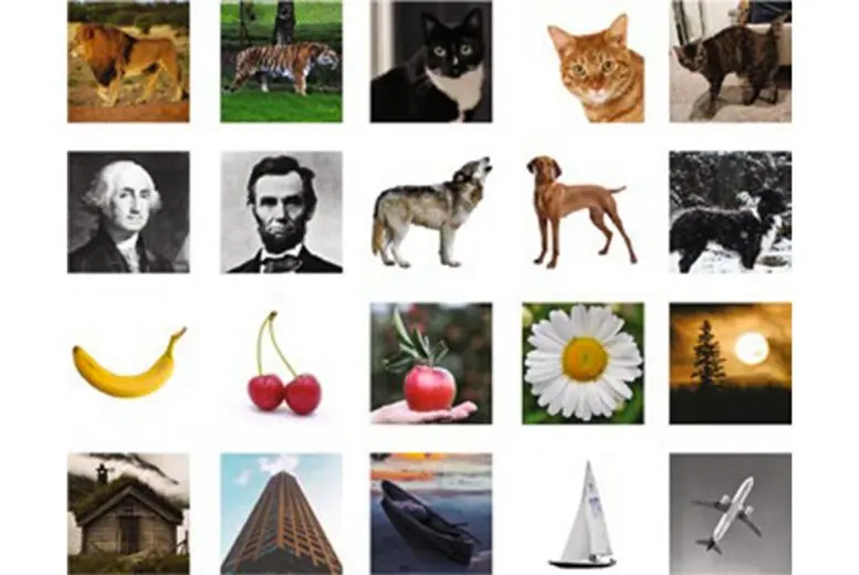 Images Stored in DNA