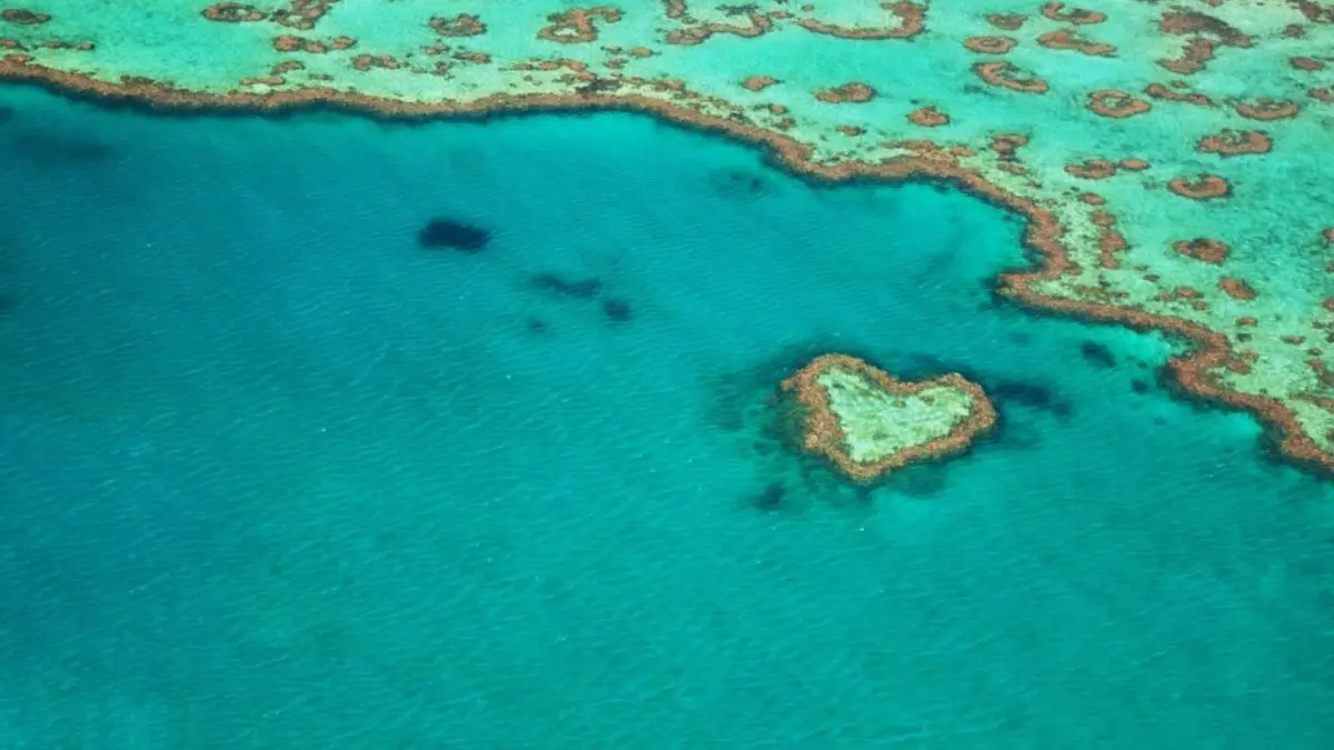 Not Photoshop: The story of the world-famous Heart Island