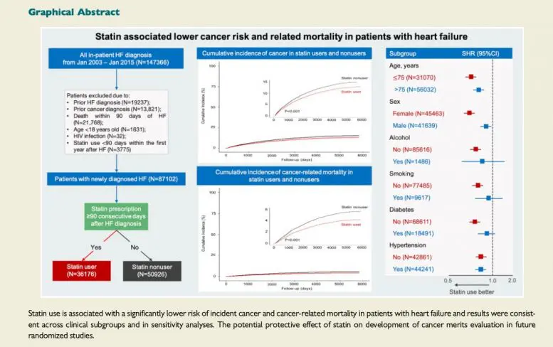 Statin Use Reduced Risk of Cancer