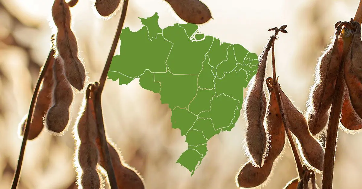 An initiative to achieve deforestation-free supply chains from Brazil