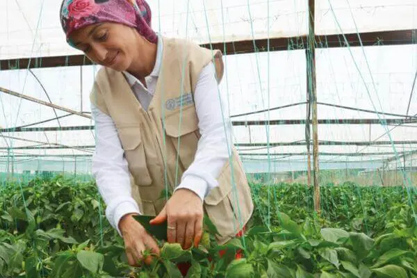 The UN offers training and work for Syrian refugees in Turkey