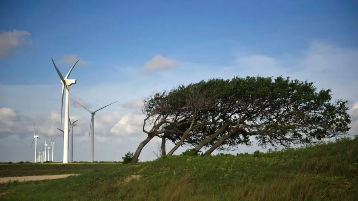 And the wind has a holiday