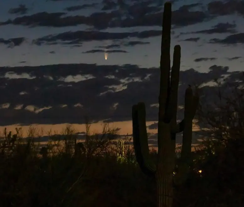 Comet NEOWISE Tucson