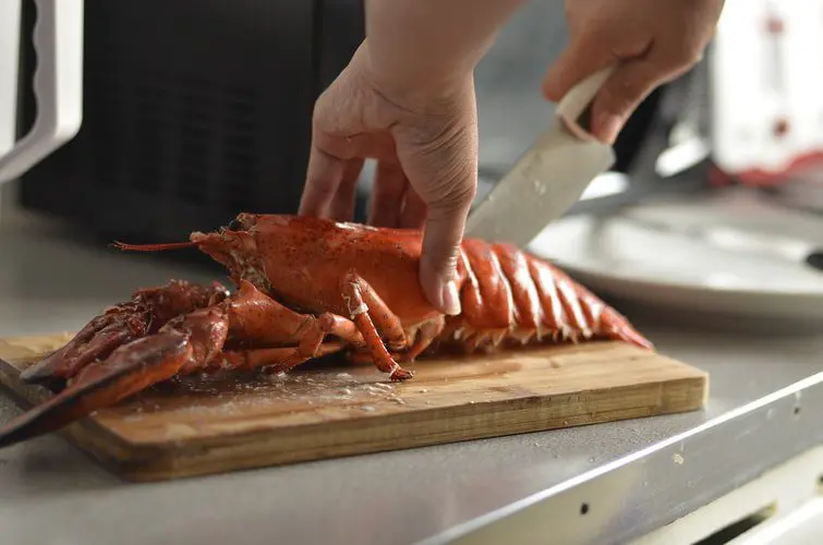 Lords propose ban on boiling lobsters alive