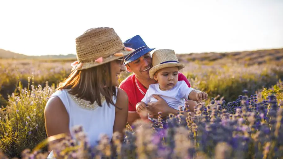Stop buying toys! Take your children on a field trip