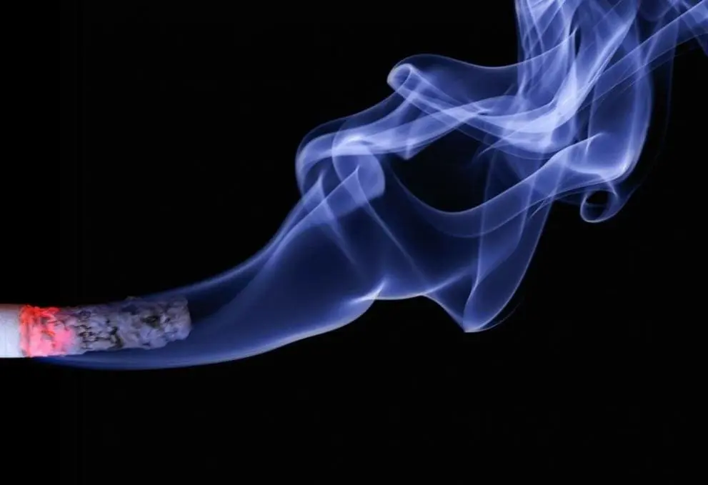 Global Nicotine Forum 2021: More than 1 billion smokers worldwide smoke cigarettes every day