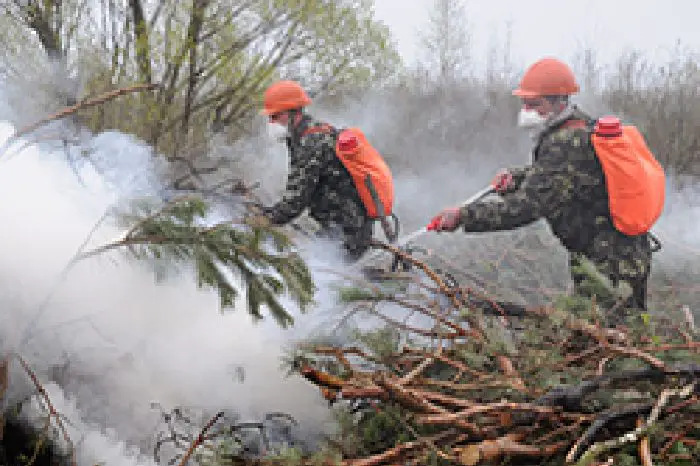 Health advice: wildfires in the WHO European Region