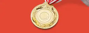 Sitecore gold medal