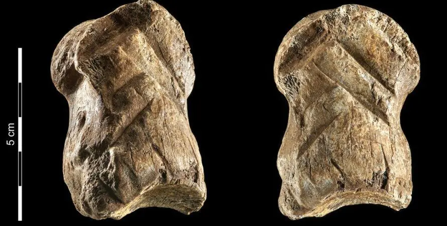 Carved deer bone: archaeologists have found the oldest work of art