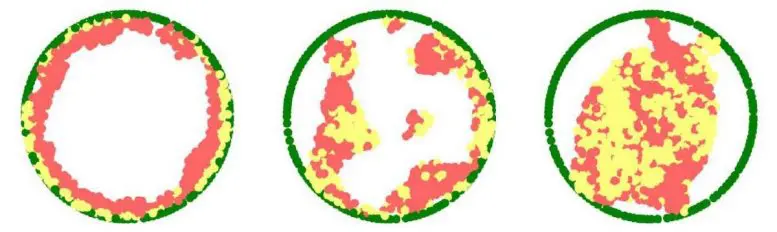 3D Chromatin Simulations