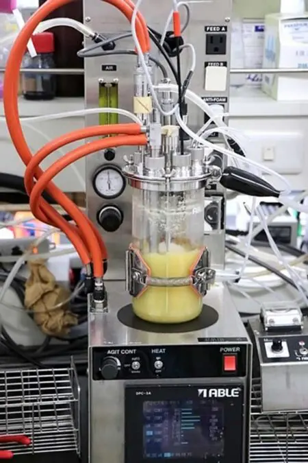 Engineered Microbes Synthetic Rubber