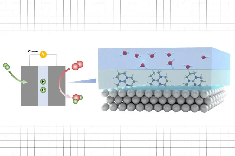Enhancing Reaction Rates in an Electrocatalytic Process