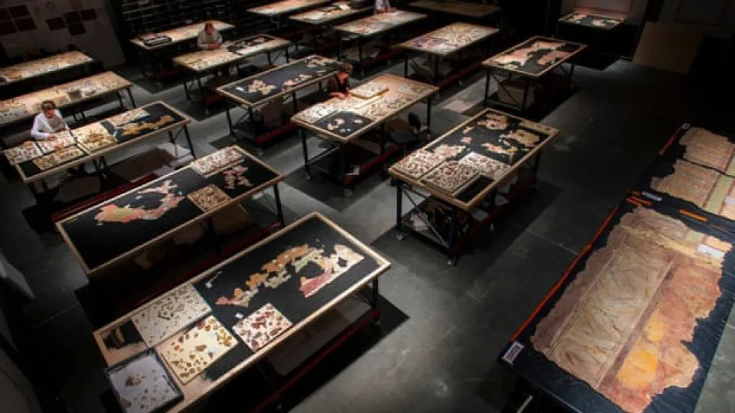 Excavations in France – archaeologists have found fragments of ancient Roman frescoes from the 1st century BC