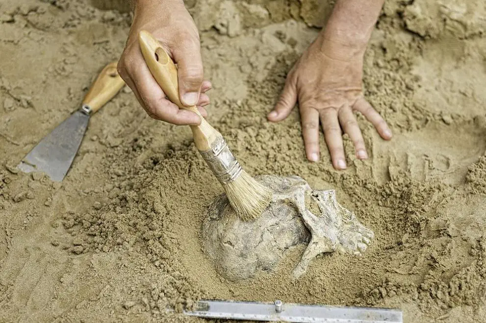 Remains of a human skull 32,000 years old have been found