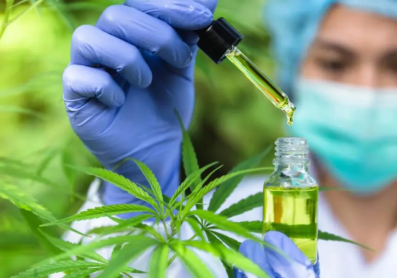 CBD Testing Concept