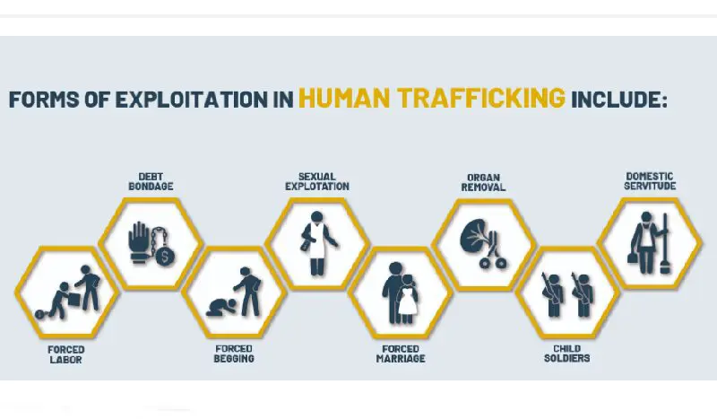 UNODC launches a compendium of promising practices on public-private partnerships to prevent and counter trafficking in persons