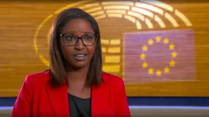 MEPs call for minimum social standards for artists and cultural workers