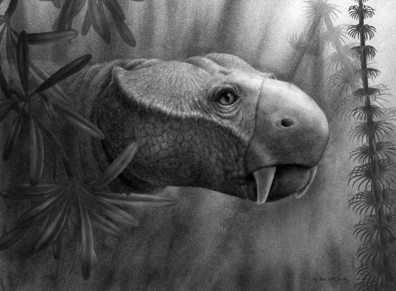 Dicynodont Illustration
