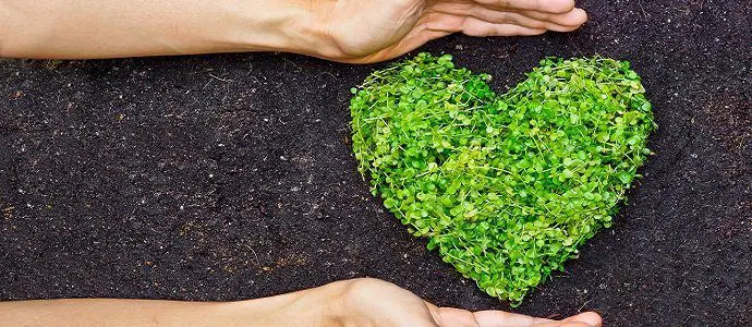 Interfaith Declaration on Science and Religion Cooperation for Environmental Care