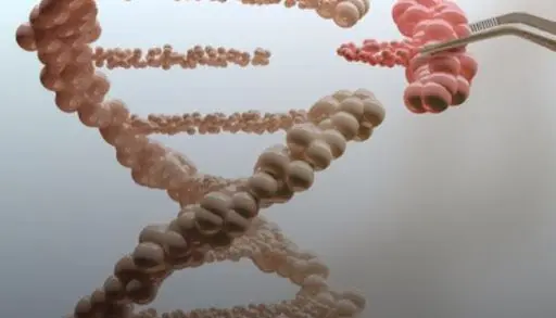 Scientists add genes to common foods: is it tasty, healthy or dangerous?