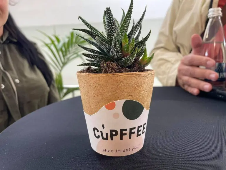 The first factory for biodegradable edible cups in Europe opened its doors in Plovdiv, Bulgaria