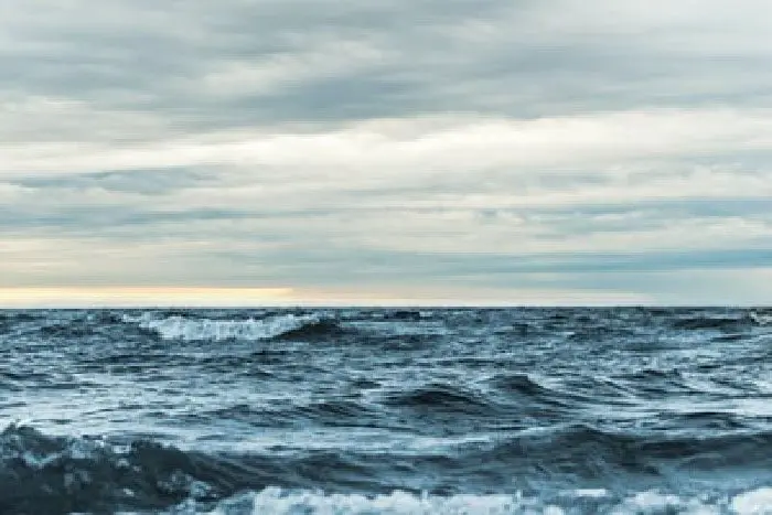 Blue economy: young European academics mobilise to protect our oceans