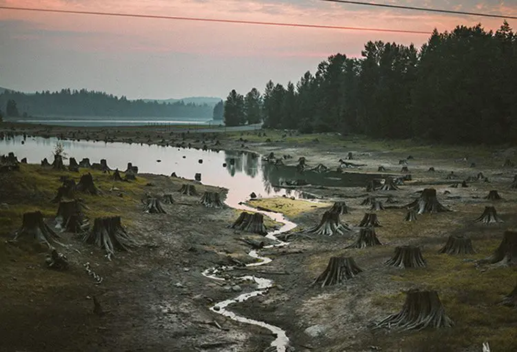 NGO files ‘crime against humanity’ complaint against Bolsonaro