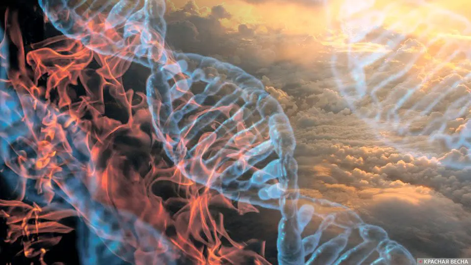 Europeans have undergone genetic evolution over the past millennia