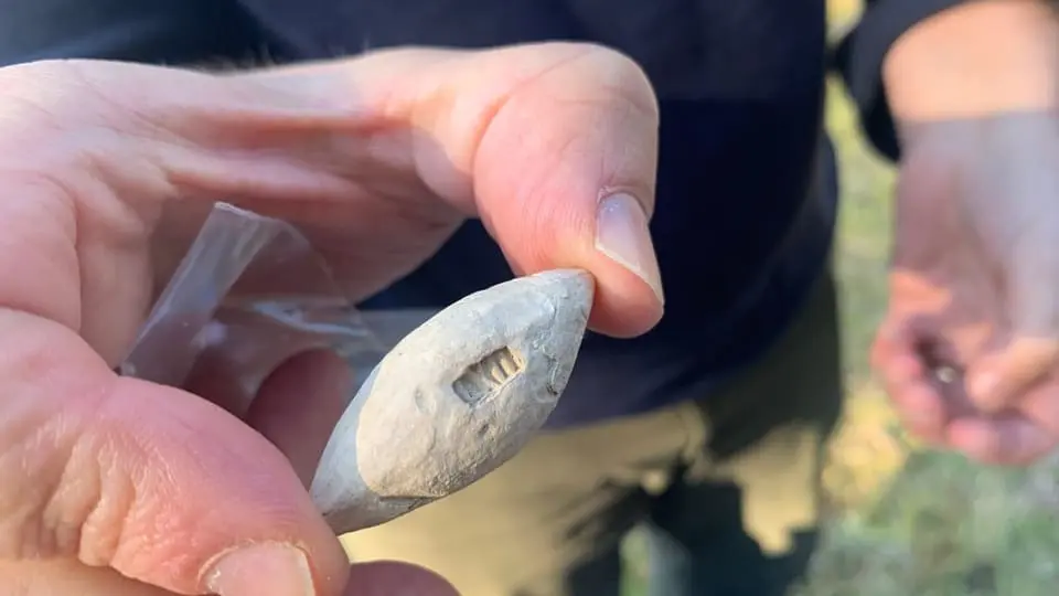 An amateur archaeologist from Switzerland finds the site of the battle of the XII Legion