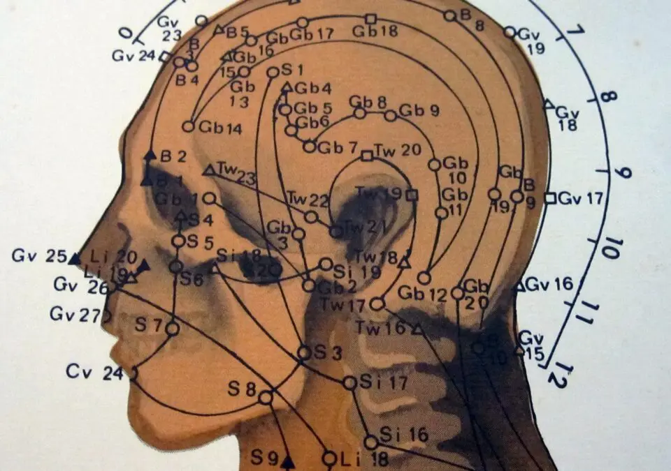 Scientists have found neurons responsible for the action of acupuncture