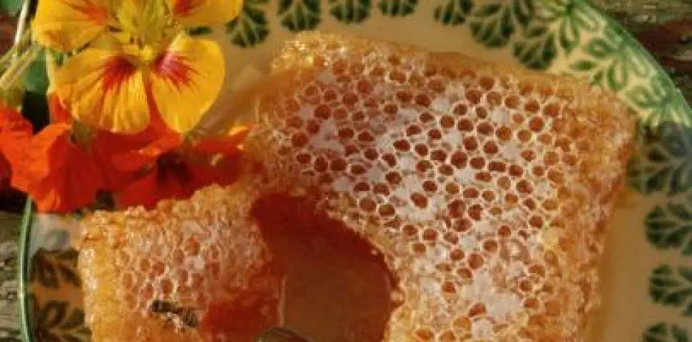 Bee Honey and its Therapeutic Application