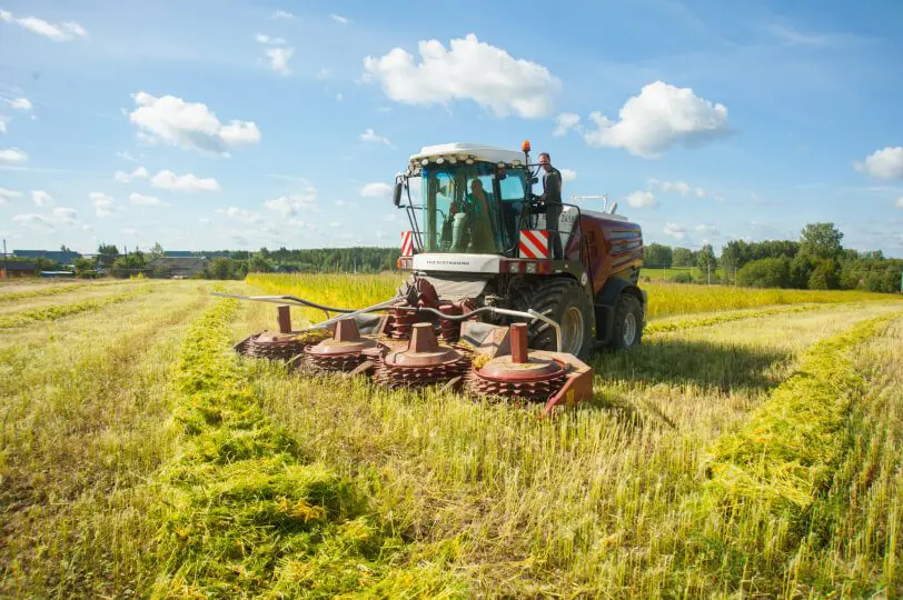 Agricultural crops of the future from Ancient Rus