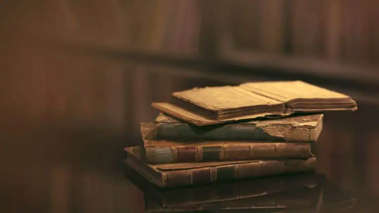 A fragment of a long-lost 12th-century poem has been found in the cover of a book