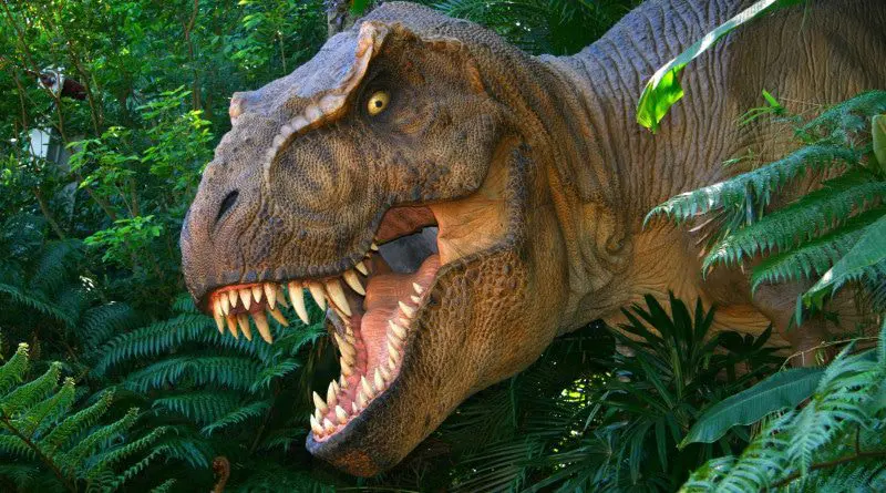 Tyrannosaurus Rex suffered from severe toothache