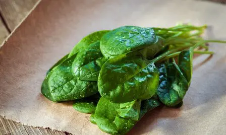 10 foods, especially rich in folic acid