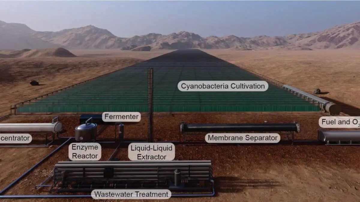 Bacteria will produce rocket fuel for space missions