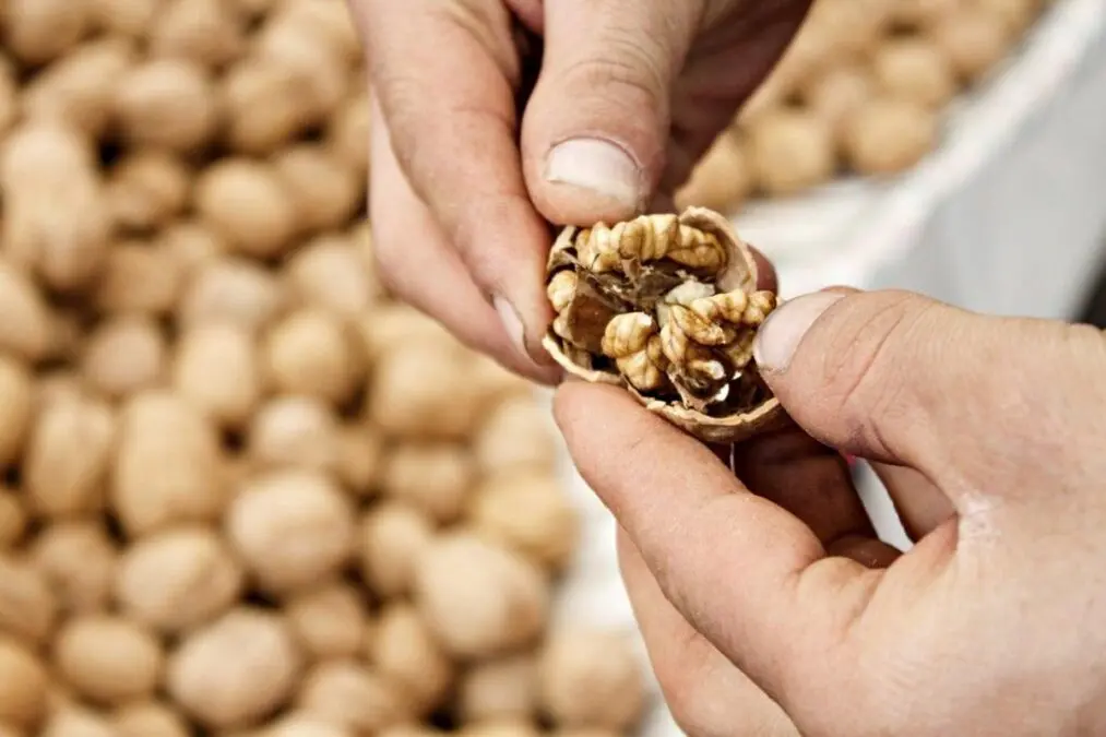 Food for good health and psyche