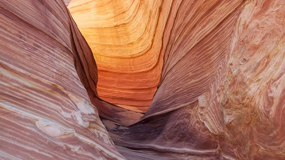 How nature “delivers” valuable metals from the mantle to the surface