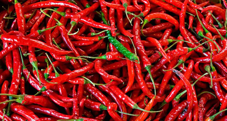 Why it is useful to eat hot peppers