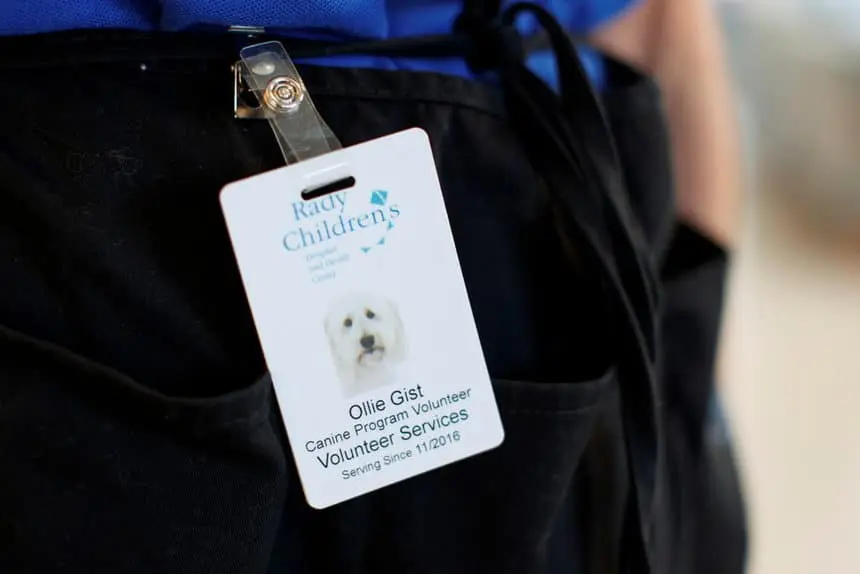 Ollie – the dog that helps children not to be afraid of vaccines