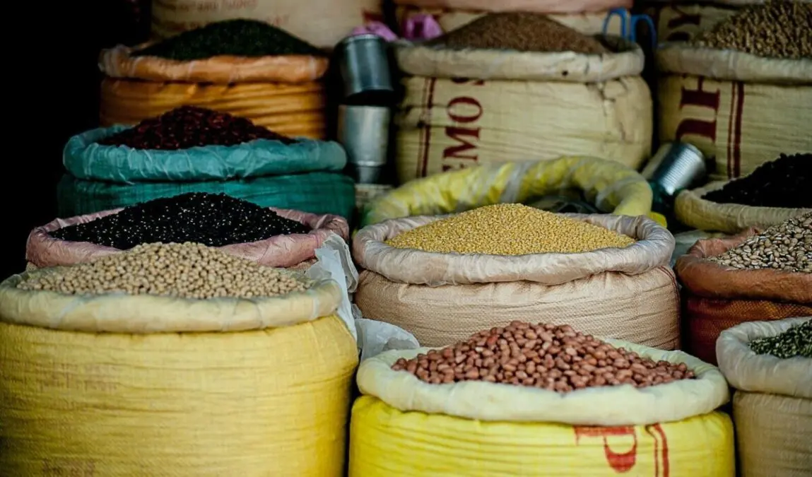 Food security: Commission steps up support for global action to transform food systems via eight Global Coalitions