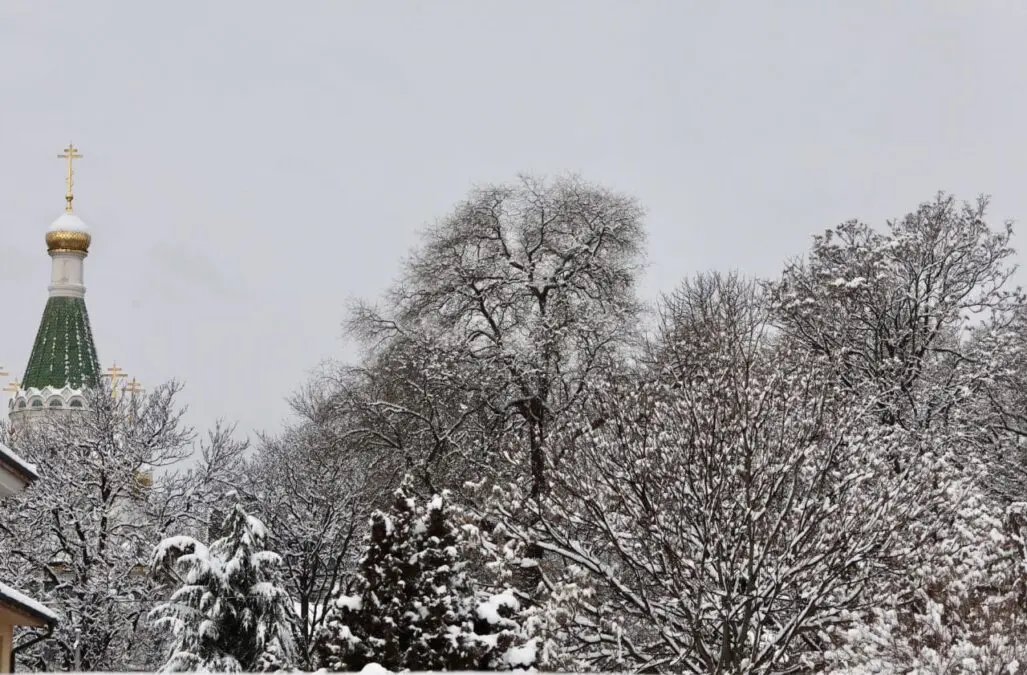 How many Russian emigrants are there in the world and in which countries do they live?