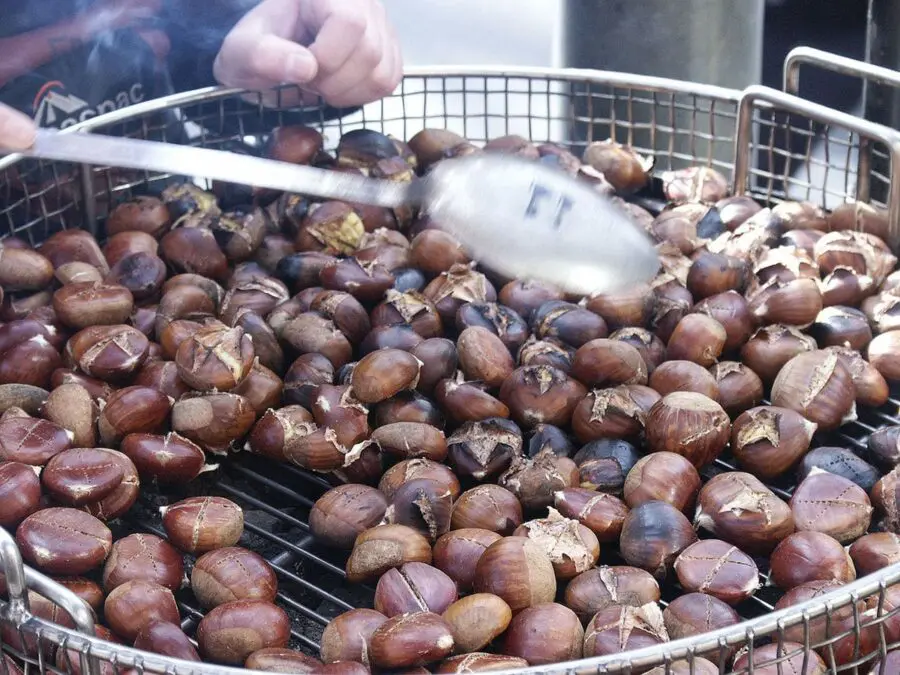 The amazing benefits of eating chestnuts