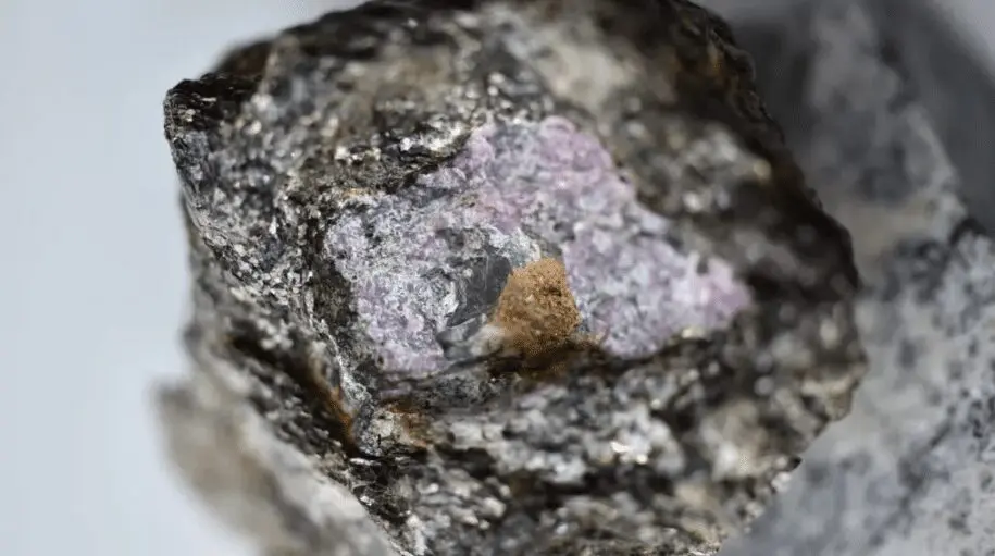 Traces of ancient life found inside a ruby ​​2.5 billion years old